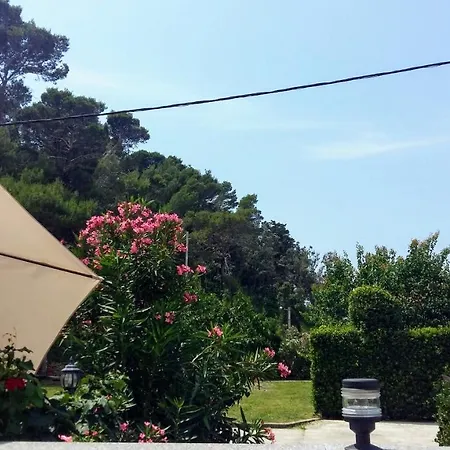 Apartman Hortensie 아파트